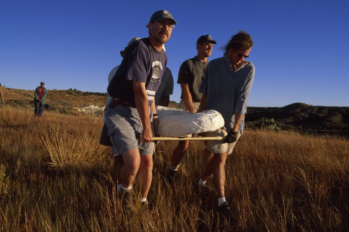 David Krause and his team haul a plaster containing <em>Adalatherium hui</em> from the field site in 1999. He wouldn't find what was inside for three more years.