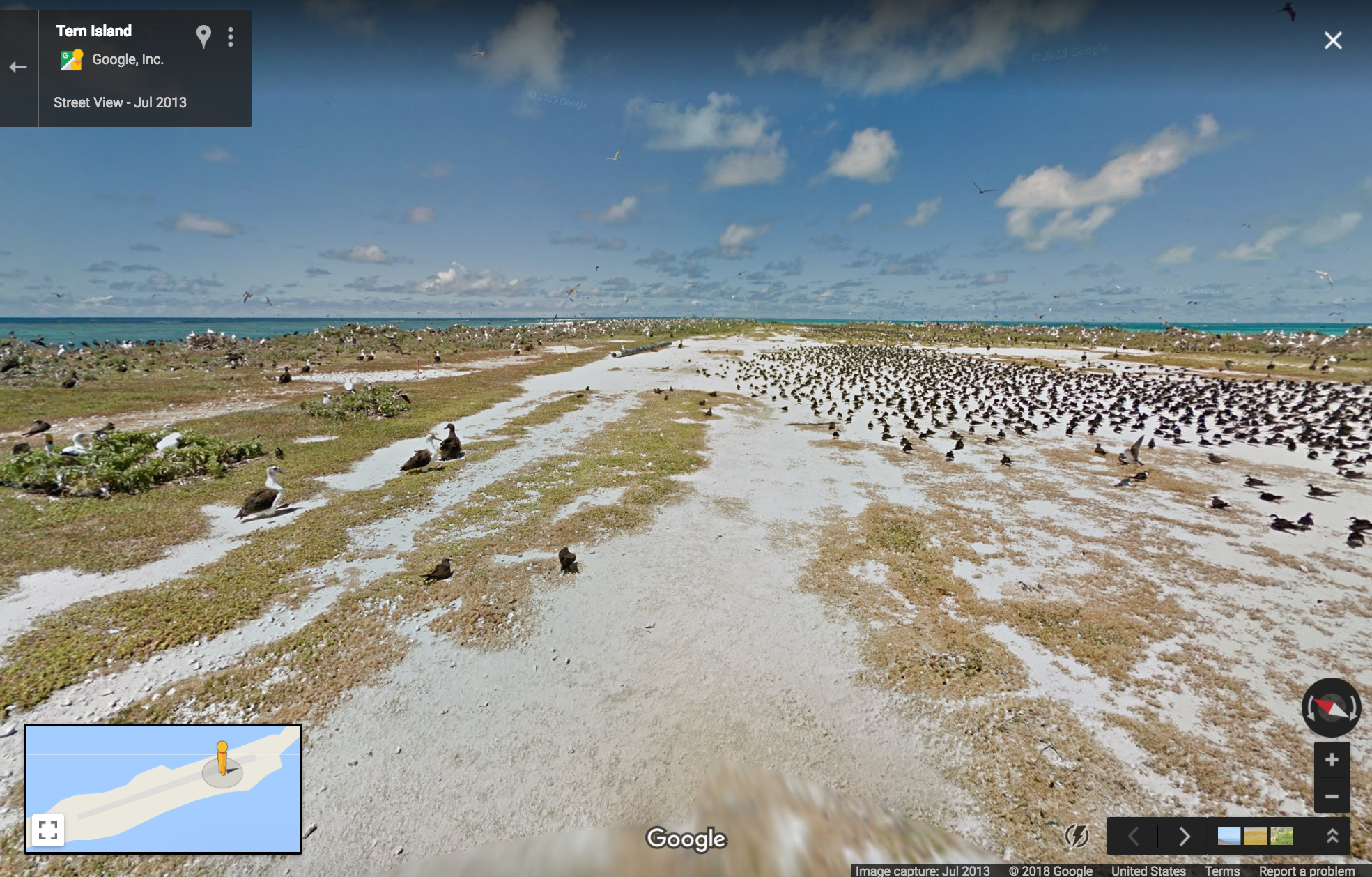Welcome to Tern Island, you wingless freakazoid.