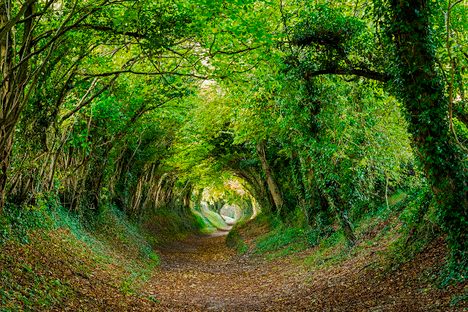 Halnaker, West Sussex, UK.