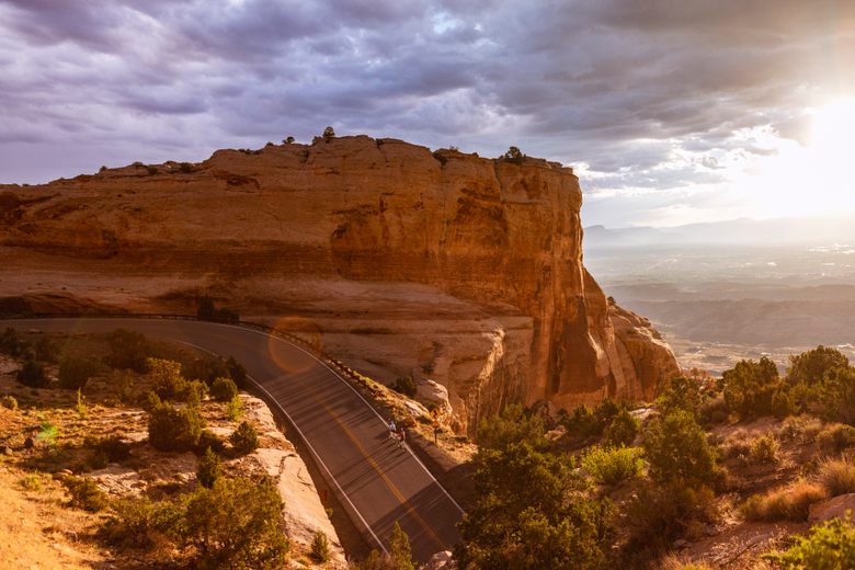 A Road Trip Into Colorado S Prehistoric Past From Fossils To Footprints To Petrified Trees Colorado S Distant Past Awaits You At Every Turn Atlas Obscura