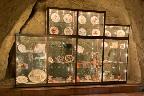 The Mushroom Museum