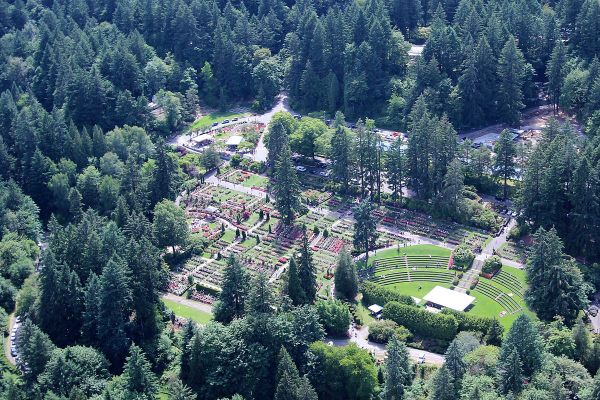 An aerial view of the rose garden.
