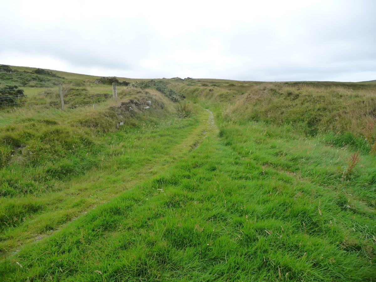An overgrown road leads to the site of Doarlish Cashen, the remote farmstead where Gef the Talking Mongoose resided.