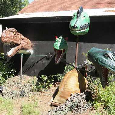 The Rock and Fossil and Dinosaur Shop 