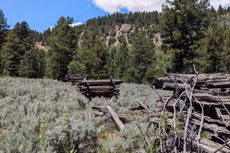 Remains of the flume supports