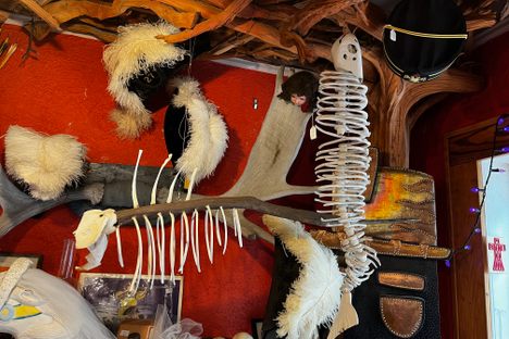 Oddities & Antiques