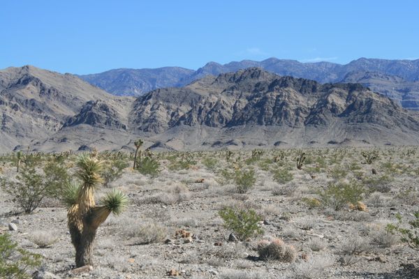 12 Unique Places to Visit Near Las Vegas