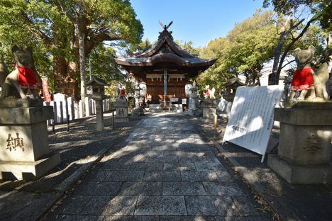 Shinodanomori Shrine, Izumi.