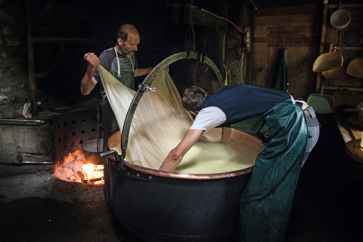 The Murith family in Switzerland, near Gruyères, separates curds from the whey to make cheese.