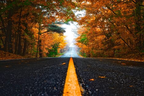 Just about everyone can agree on the beauty of an autumn drive.