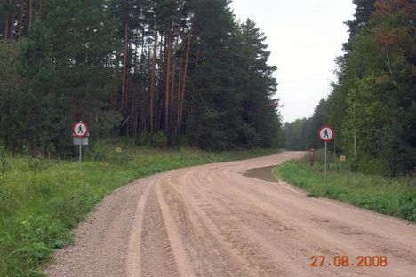 "No Pedestrian" signs in the Saatse Boot