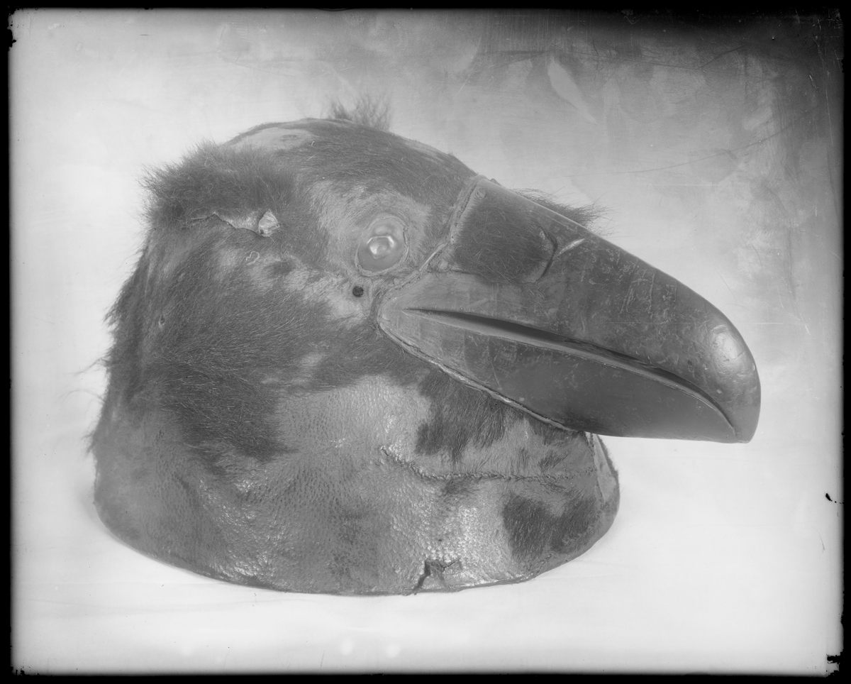 The raven helmet worn by Tlingit warrior K’alyáan, from the E.W. Merrill Collection.