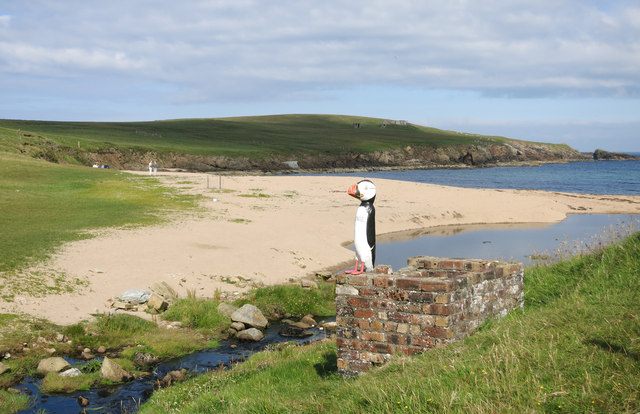 Unstfest celebrates puffins, among other features of Unst.