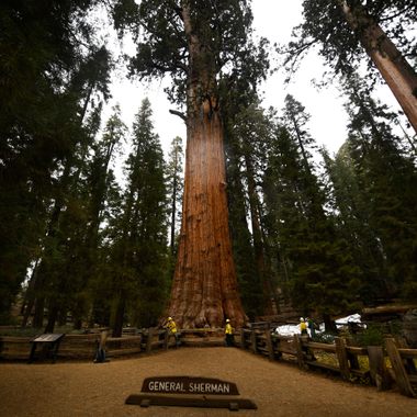General Sherman