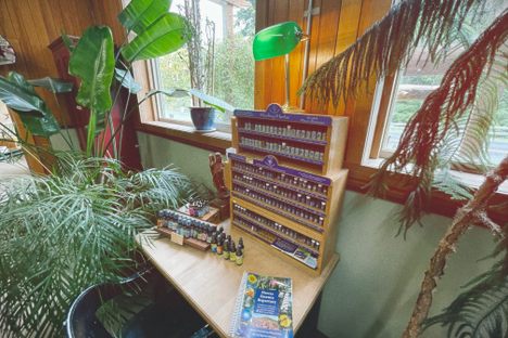 Dandelion Botanical Company