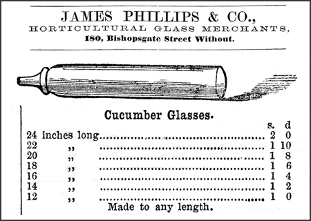 An advertisement for customizable cucumber glasses.