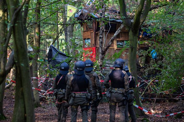 Police raid treehouses at the Hambach Forest campsite.