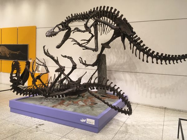 Dryptosaurus Skeletal Mount – Trenton, New Jersey - Atlas Obscura
