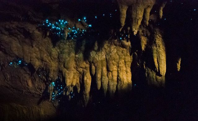 Waipu Caves – Waipu, New Zealand - Atlas Obscura