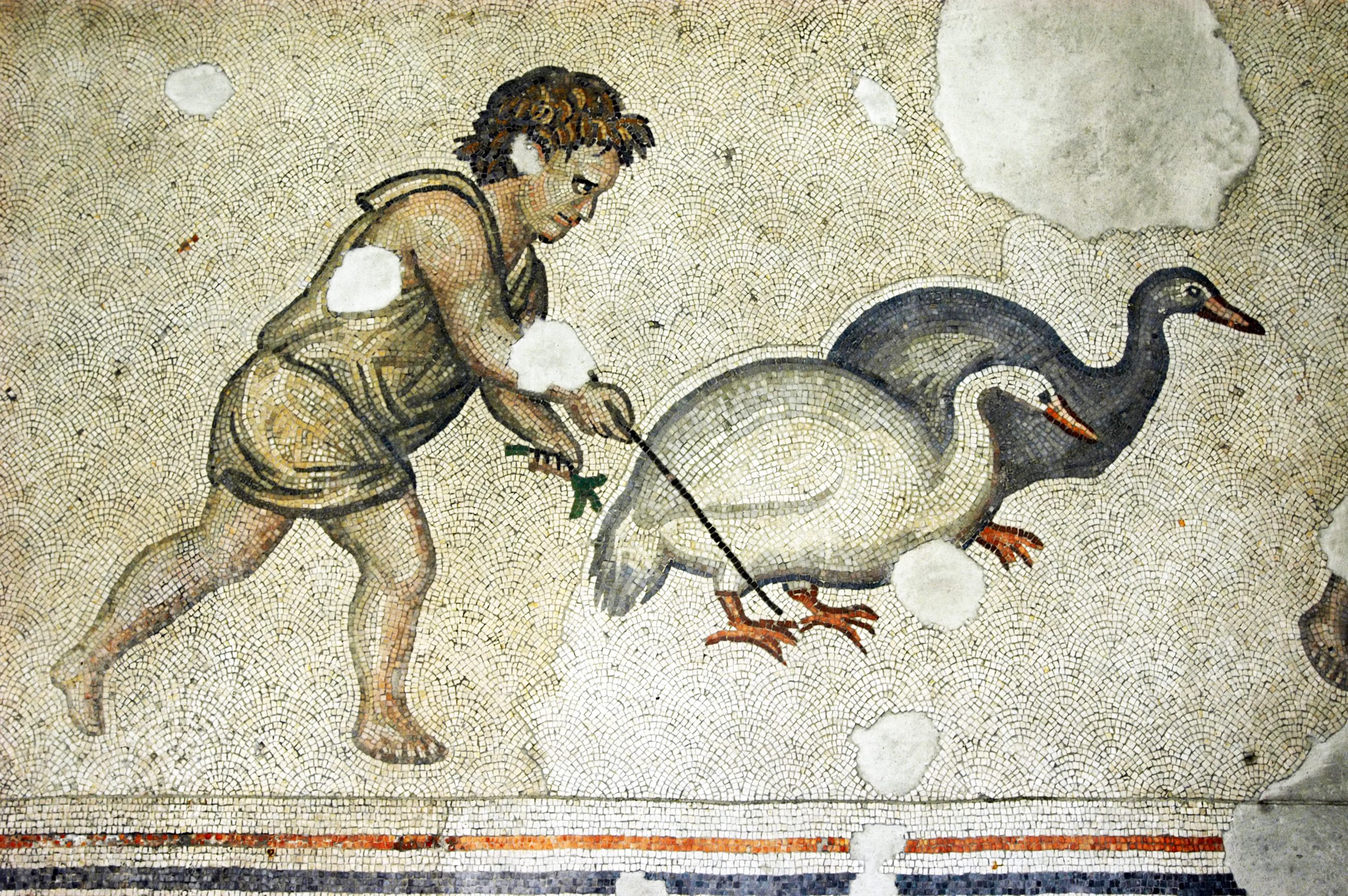 A scene of a boy herding geese in the Great Palace, in Istanbul, Turkey.