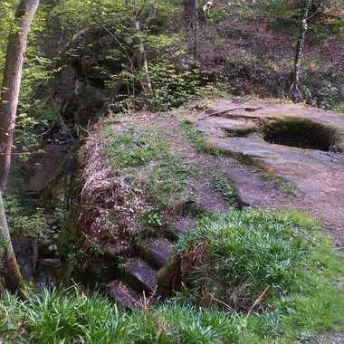 Dunino Den