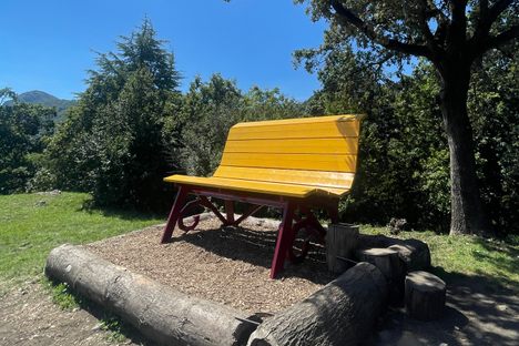 Big Bench #137