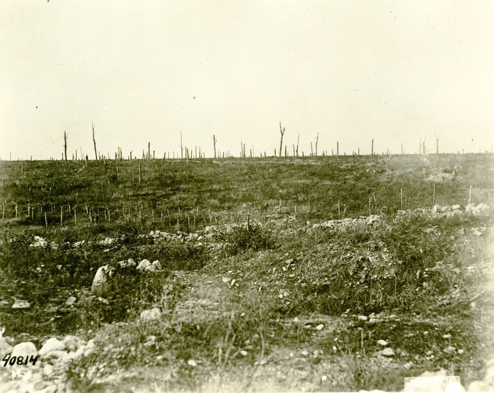 Verdun during World War I.