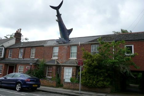 Headington Shark