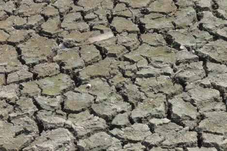 China Is Releasing Dam Waters to Ease Pain of El Niño Drought