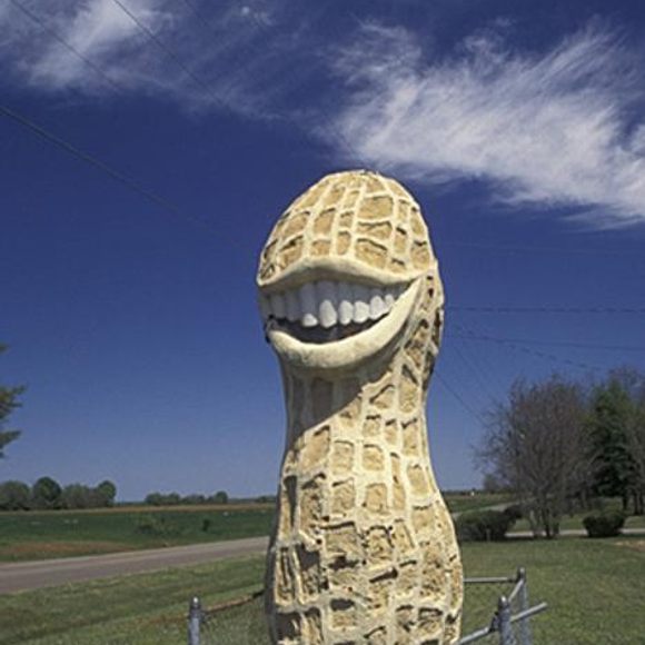 Jimmy Carter Smiling Peanut Plains, Atlas Obscura