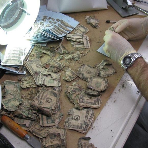 The Mutilated Currency Division Washington, D.C. Atlas Obscura