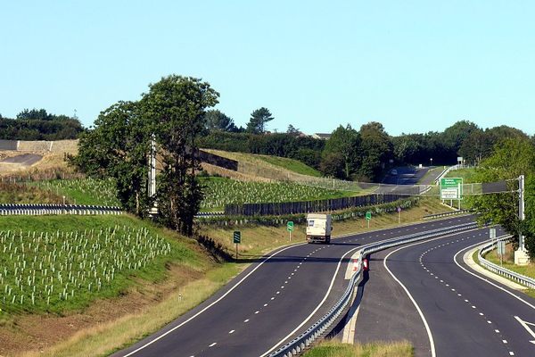 Bat Bridge on the A38 Dobwalls Bypass, Cornwall, UK. (2009