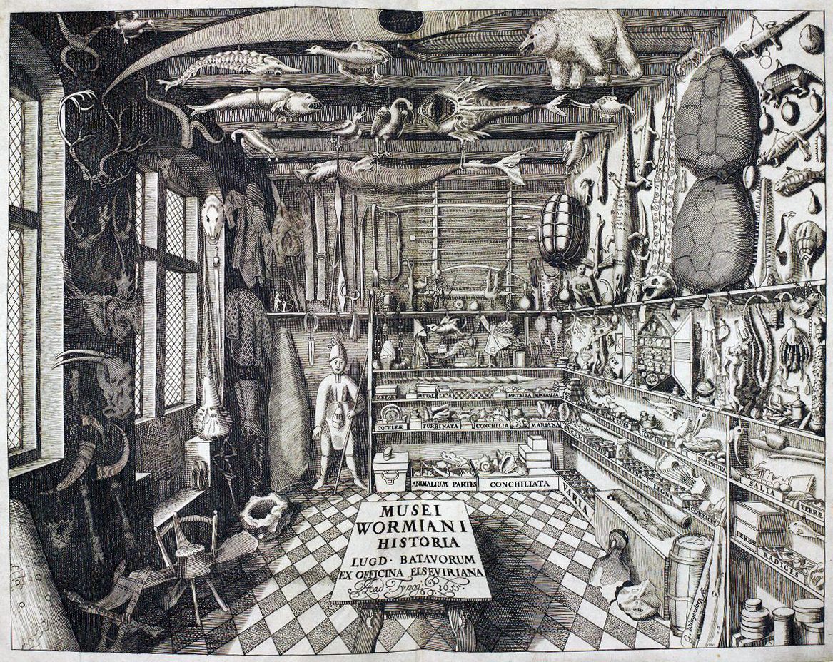 Cabinets of curiosity were encyclopedic collections of natural, archaeological, and ethnographic objects. This drawing shows a 17th-century Danish example. 