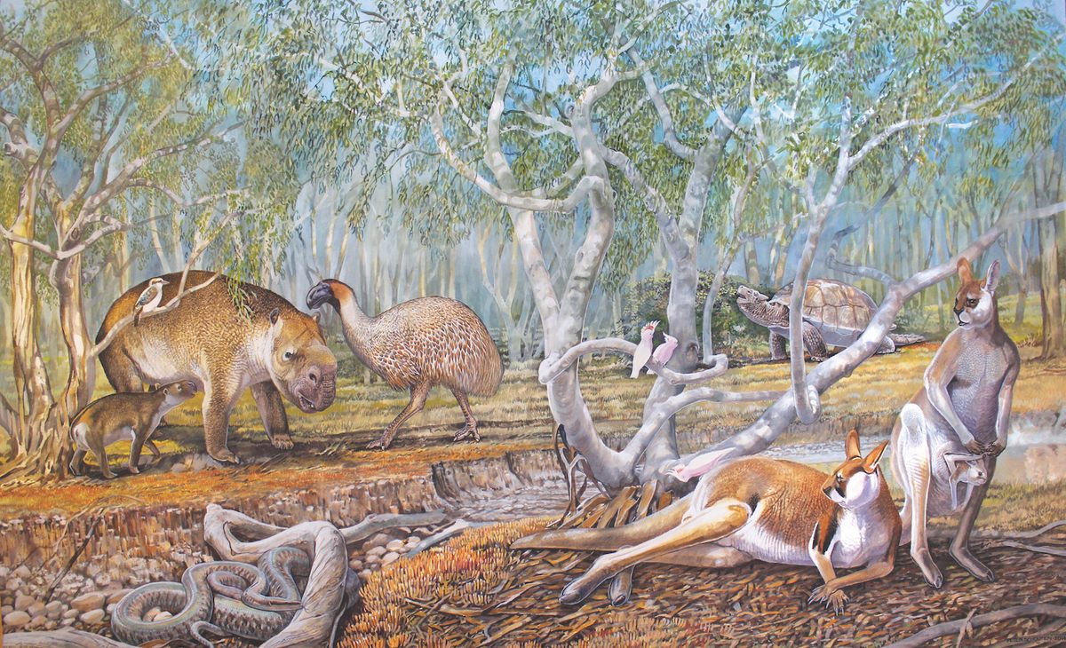 Check out the mihirung (the giant bird) and the giant diprotodon next to it.