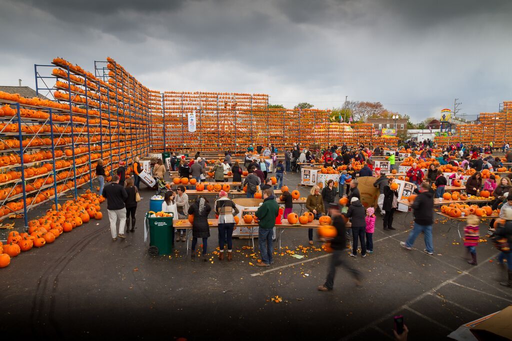 Pumpkin assembly lines at the 6th Annual Great Highwood Pumpkin Festival.
