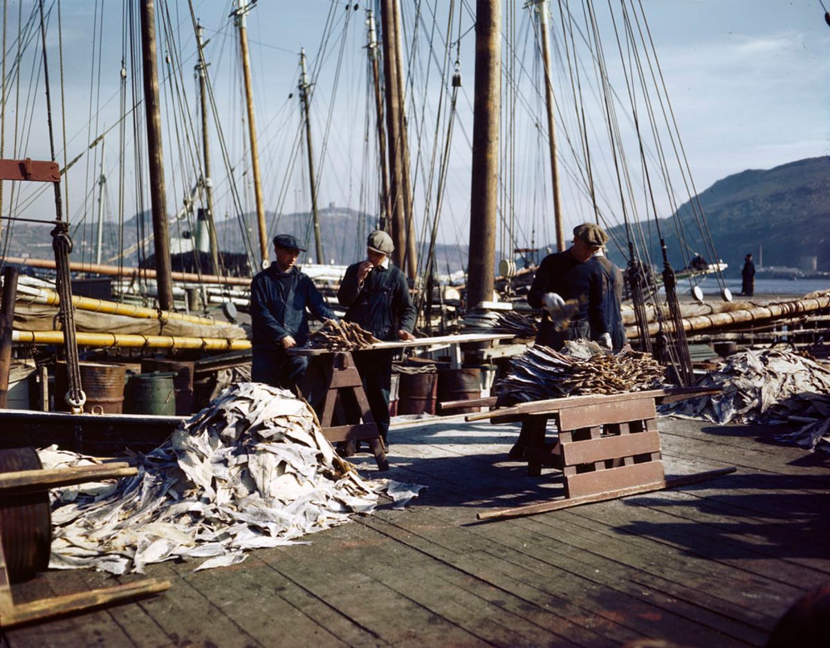 Newfoundland fishermen on the dock with fishing schooners in the background, 1944.