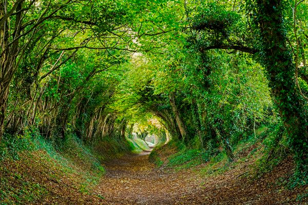 Halnaker, West Sussex, UK.