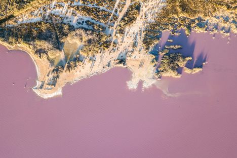 Laguna Rosa, Torrevieja, Spain