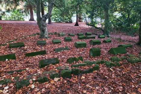 The pet cemetery 