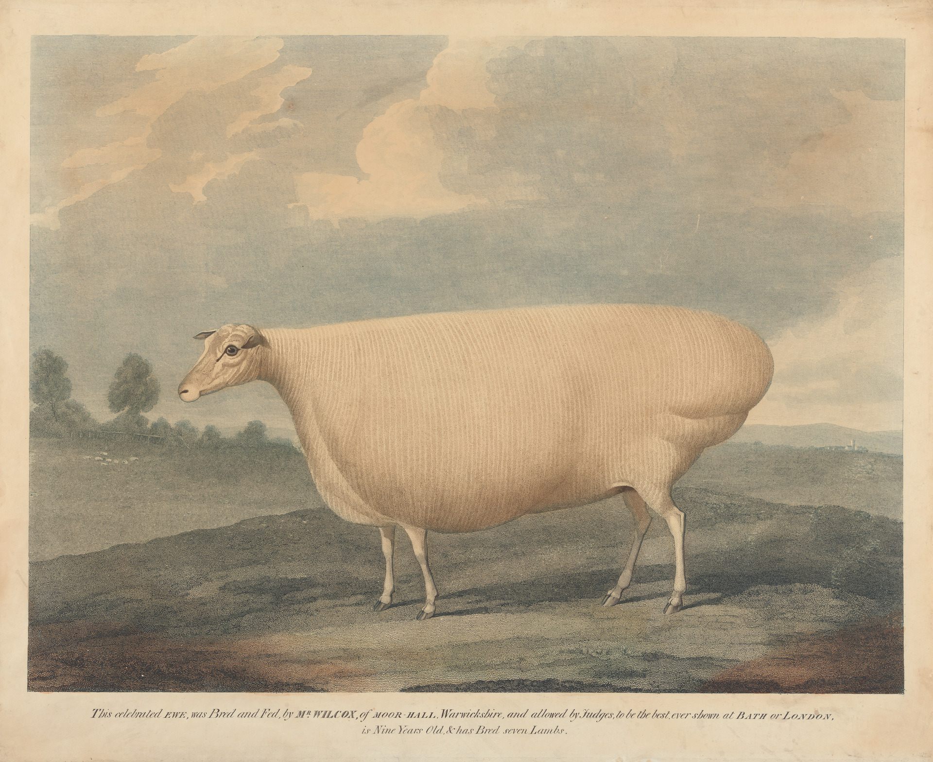 In 19th-Century Britain, The Hottest Status Symbol Was a Painting of Your  Cow - Gastro Obscura