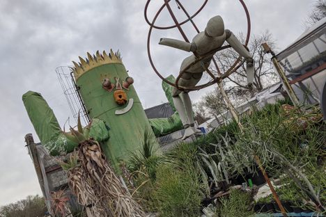 Cactus King