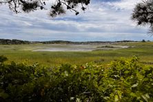 A scenic overlook on Hamblen Island.