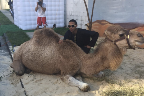 This Teen's Prom Send-Off Included a Camel and Three Tons of Sand
