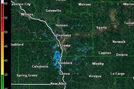 The Living Nightmare of the Mayfly Invasion