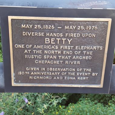 Plaque