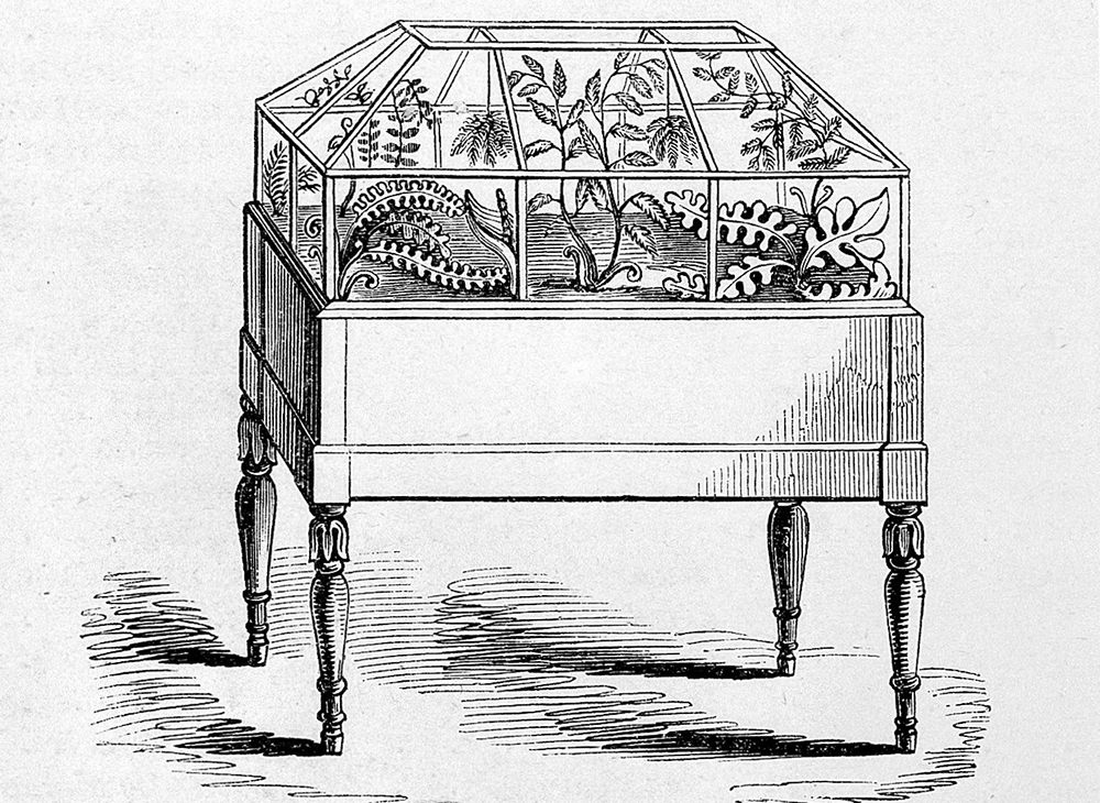 An illustration of a Wardian case, from the 1851 book <em>An Analysis of the British Ferns and their Allies</em>.