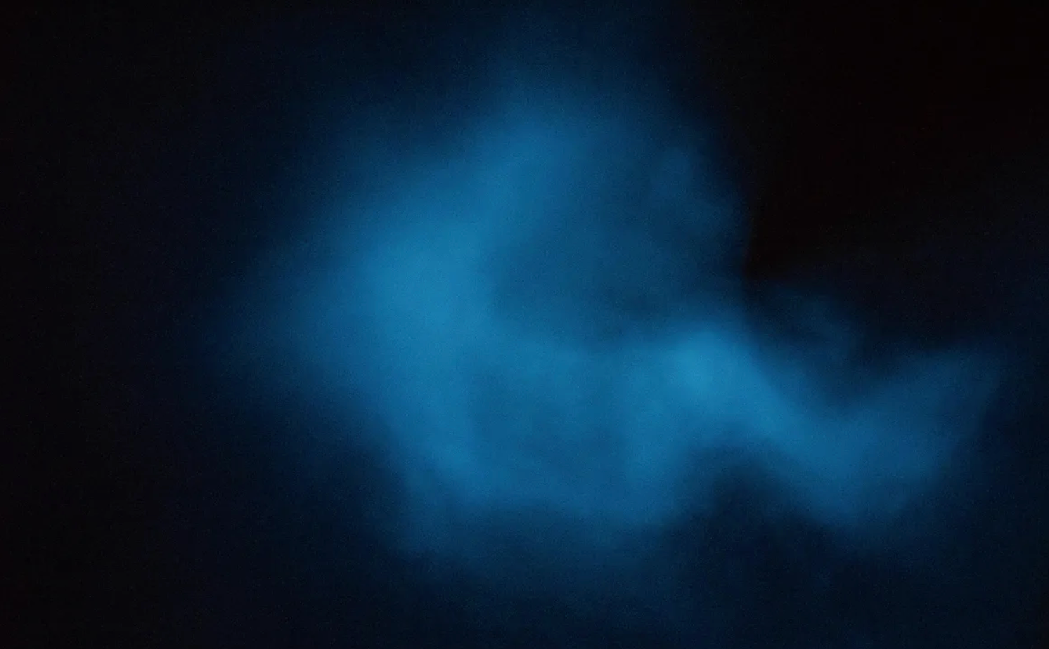 Following a circadian rhythm, the dinoflagellates’ bioluminescence occurs only at night, allowing them to recharge during the day.