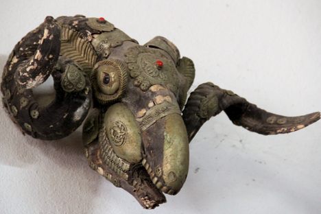 The Strange Specimens of a Mysterious Thai Apothecary
