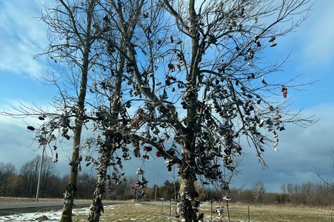 Lyndonville Shoe Trees