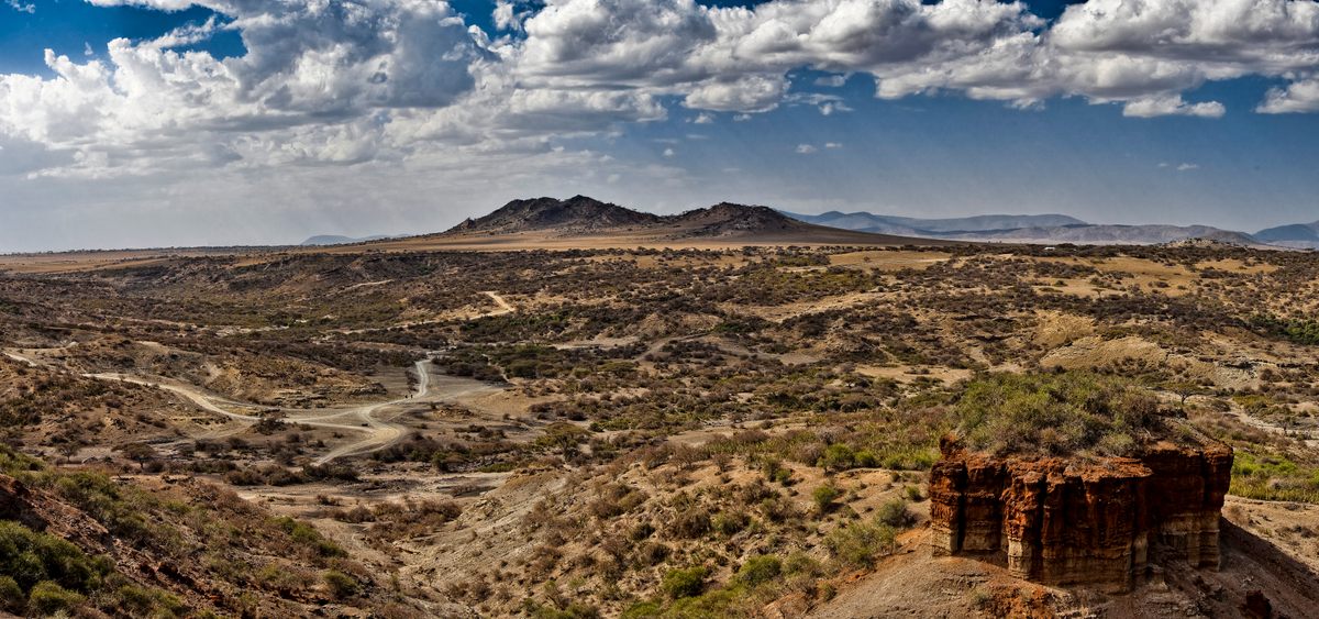 Some of the oldest hominin remains have turned up at Olduvai Gorge in East Africa.